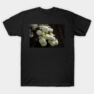 White flowers blooming in the garden T-Shirt